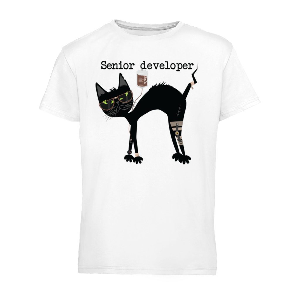 Senior developer