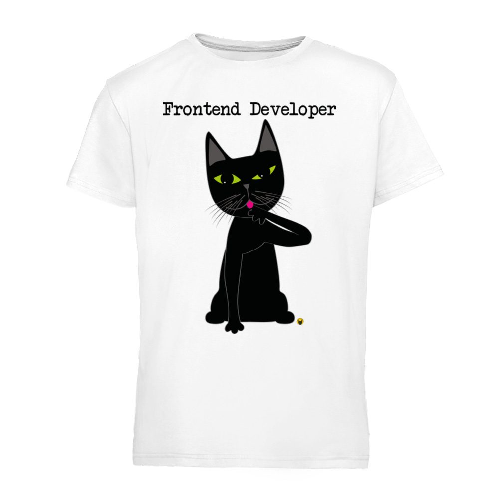 Frontend developer