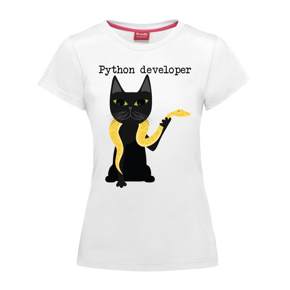 Python developer
