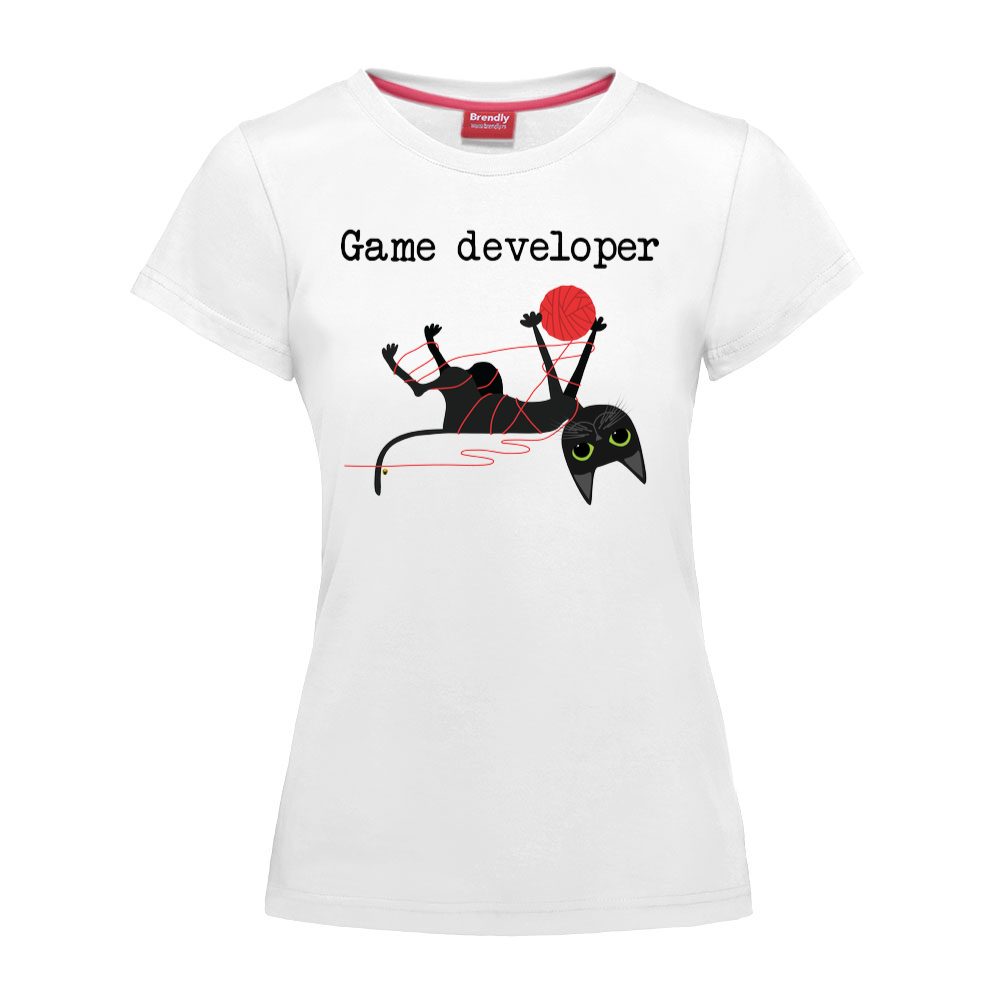 Game developer