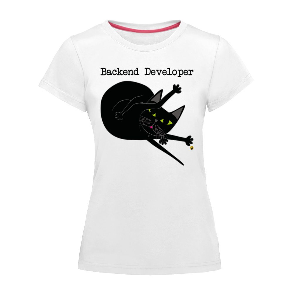 Backend develper