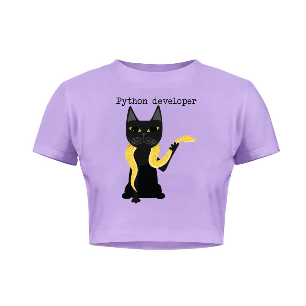 Python developer