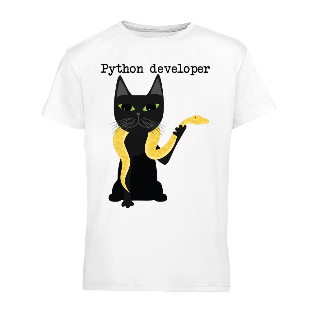 Python developer