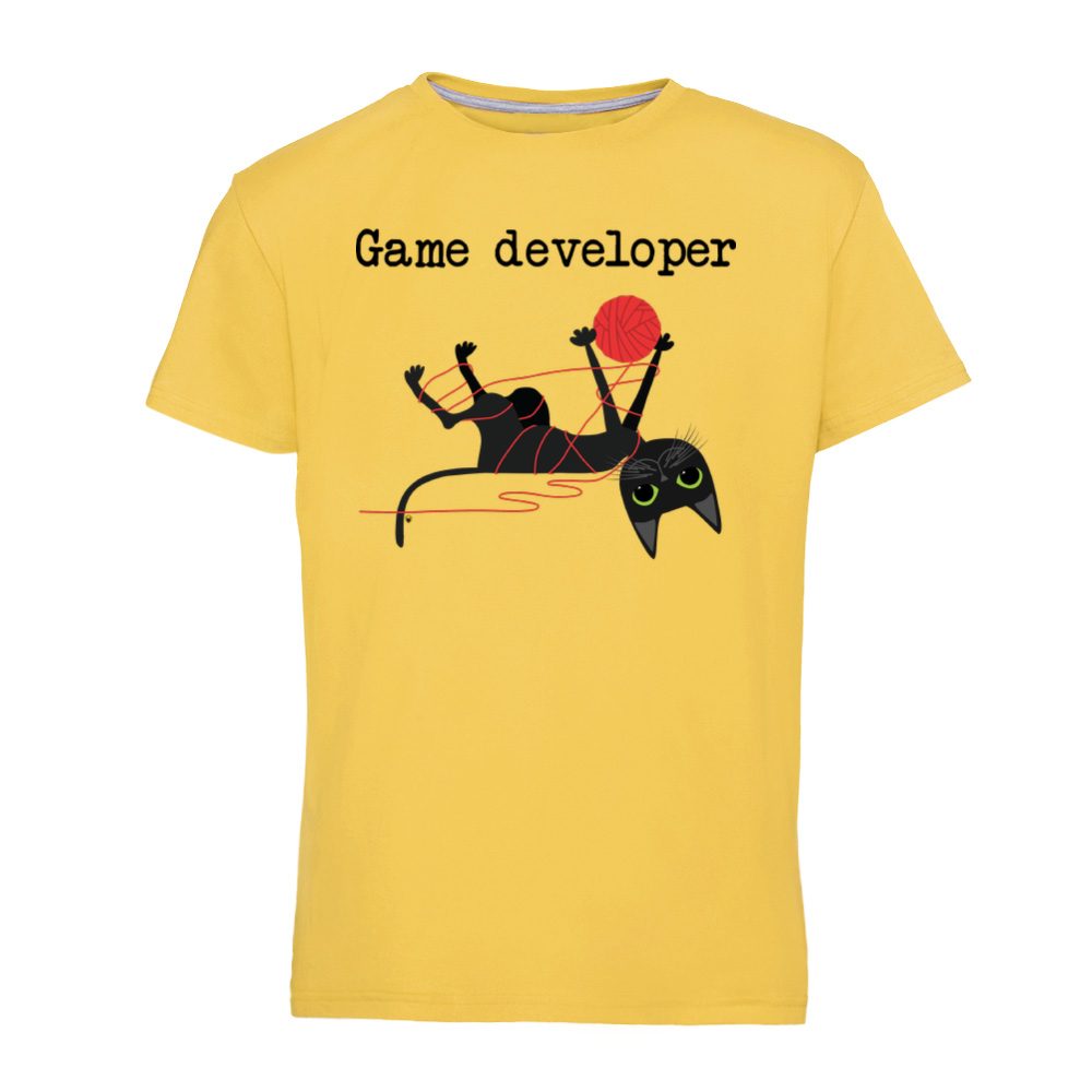 Game developer