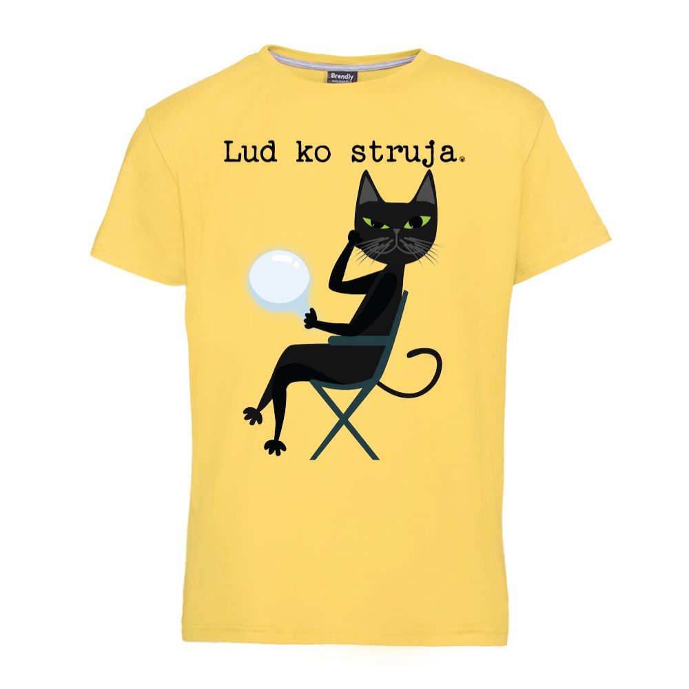 Lud ko struja