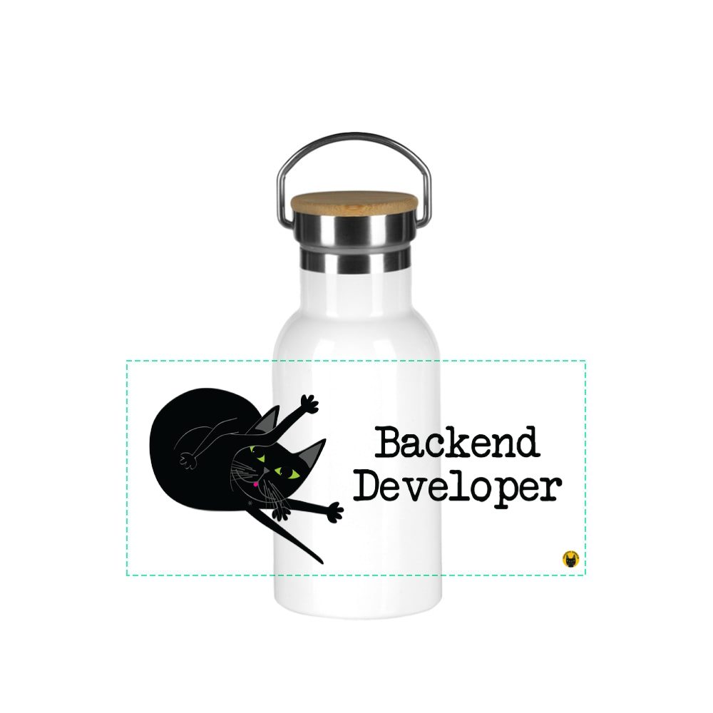 Backend develper