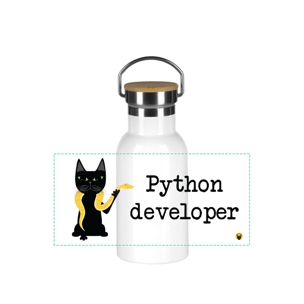Python developer