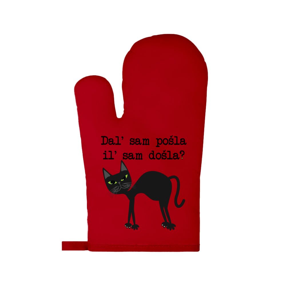 Pošla ili došla