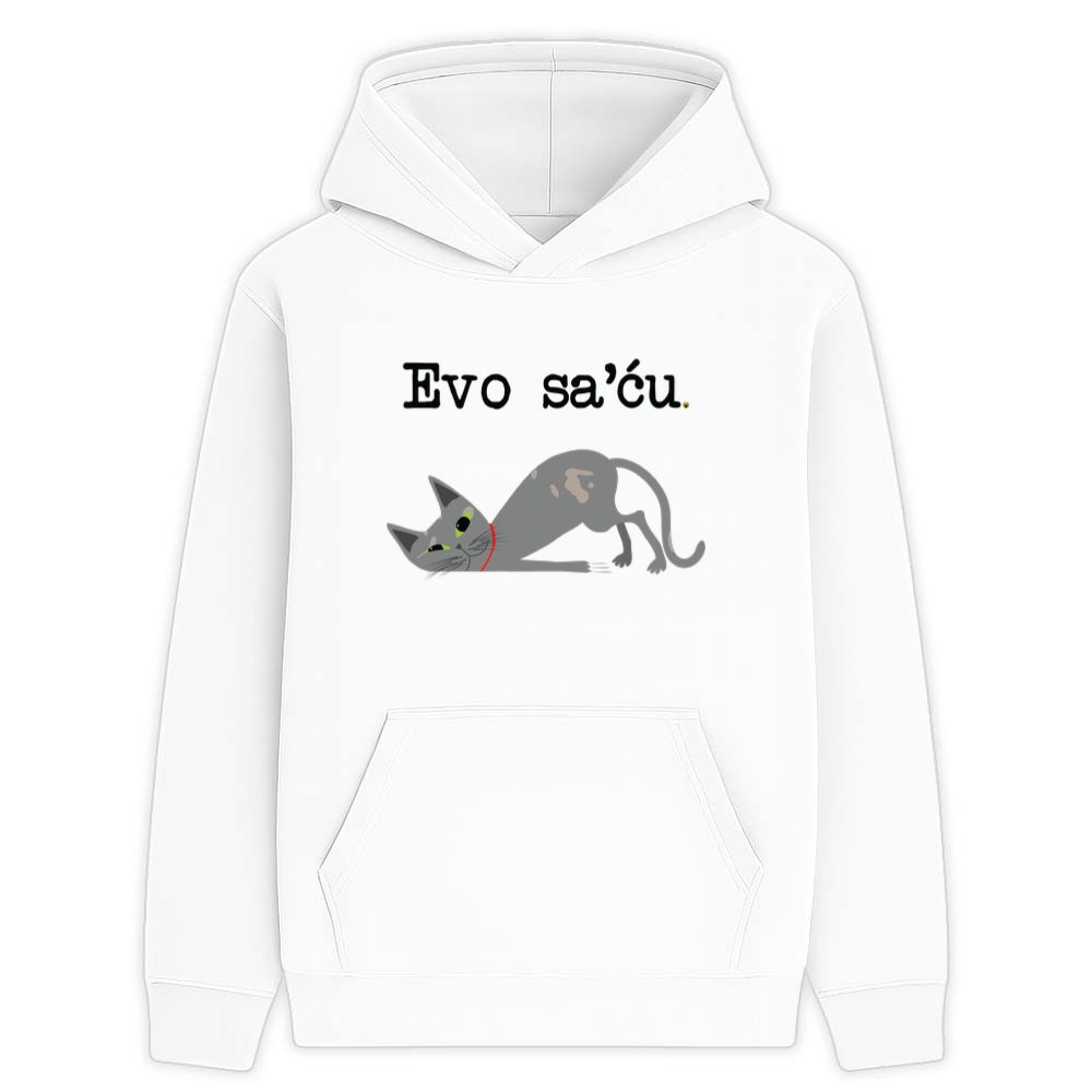 Evo sa'ću sivi Milisav