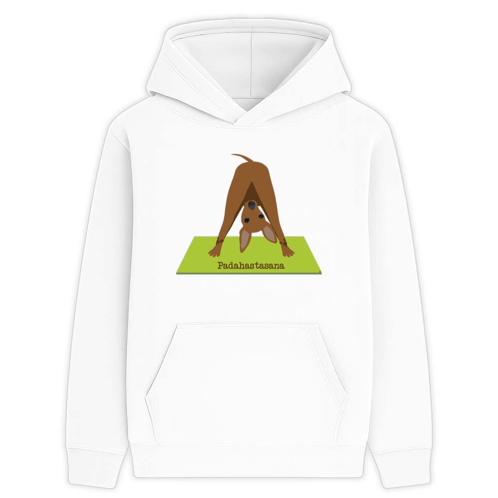 Padahastasana joga Milivoje