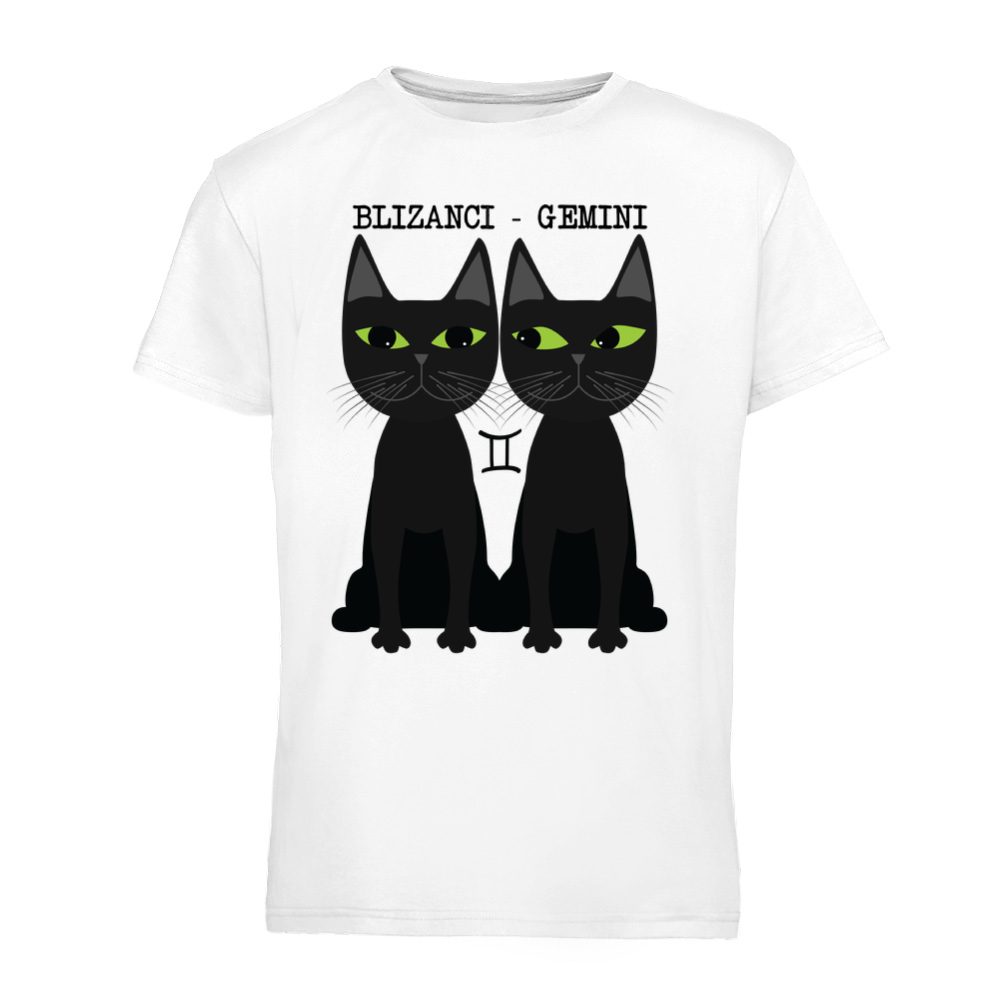 Mačko-zodijak - Blizanci
