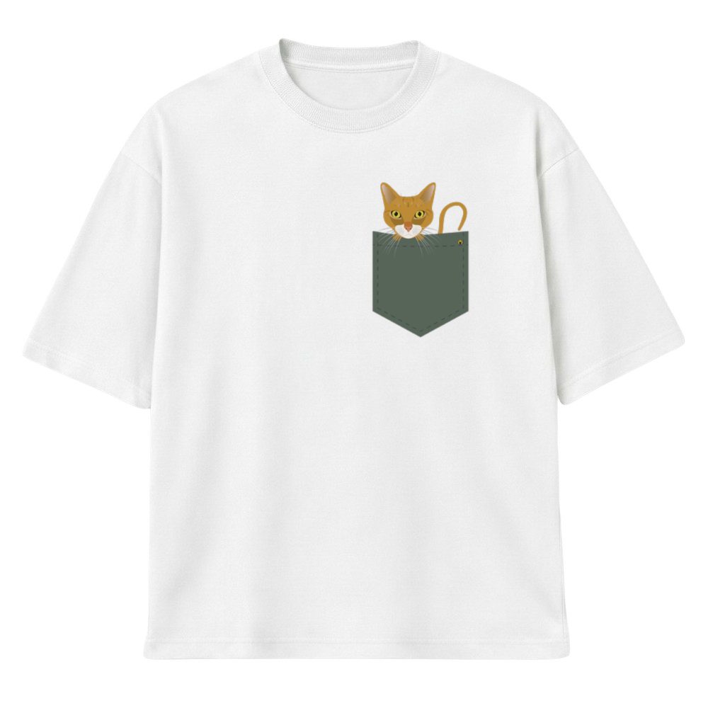 Abisinska mačka u džepu