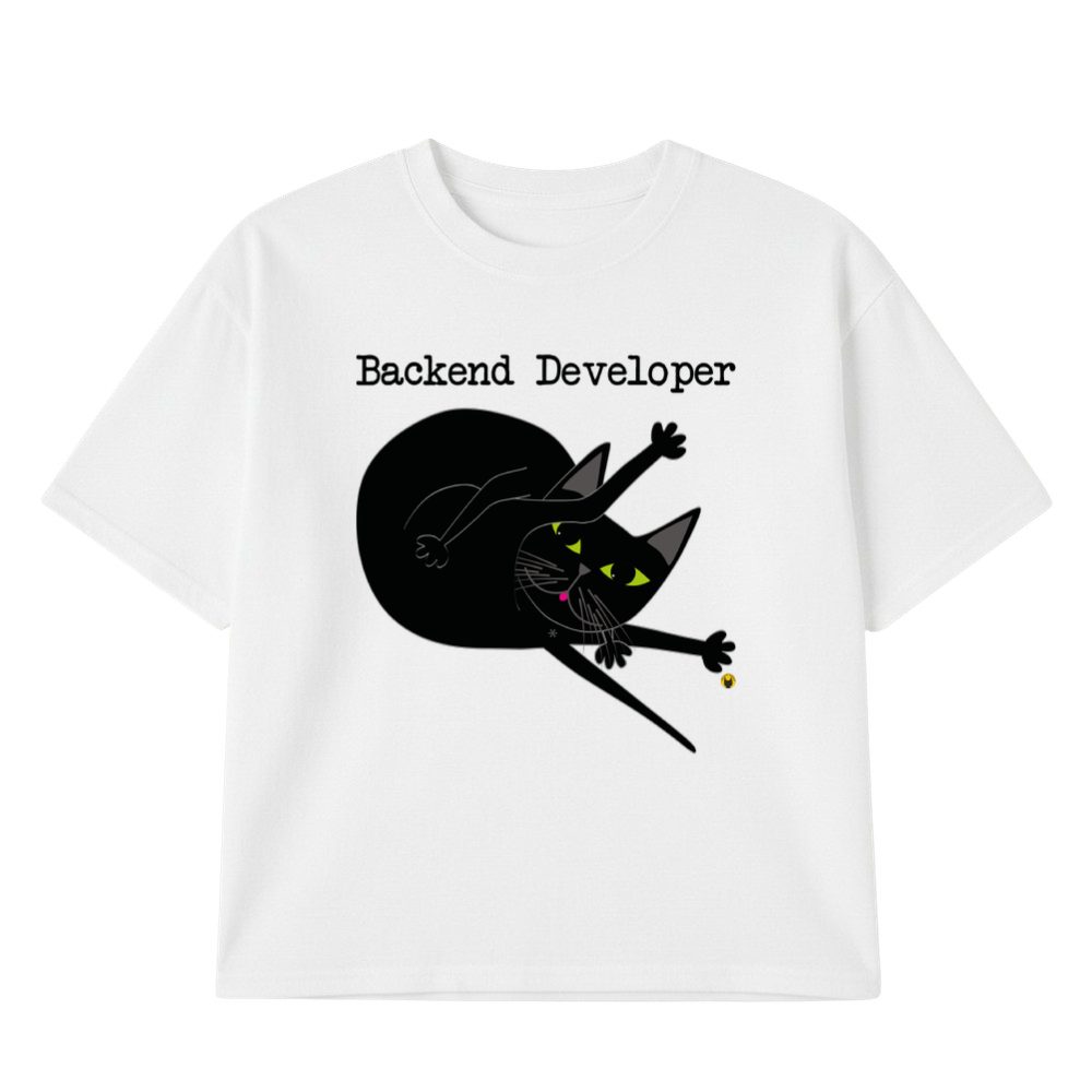 Backend develper