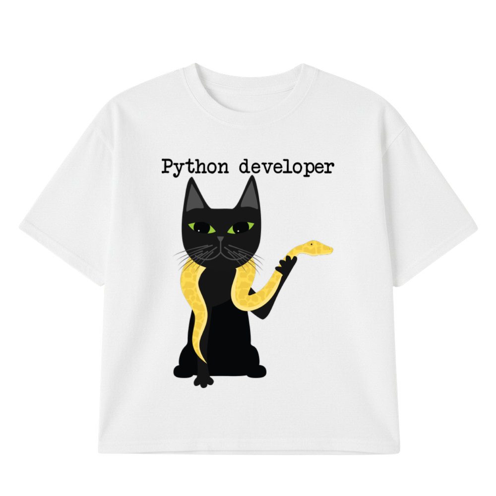 Python developer